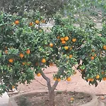 Apartman Jardines